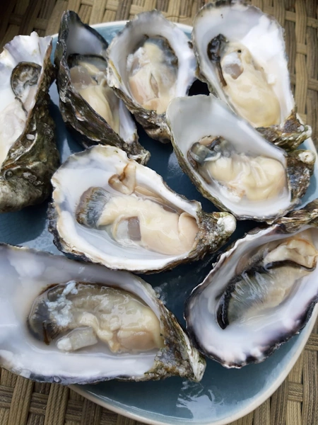 Oester impressie